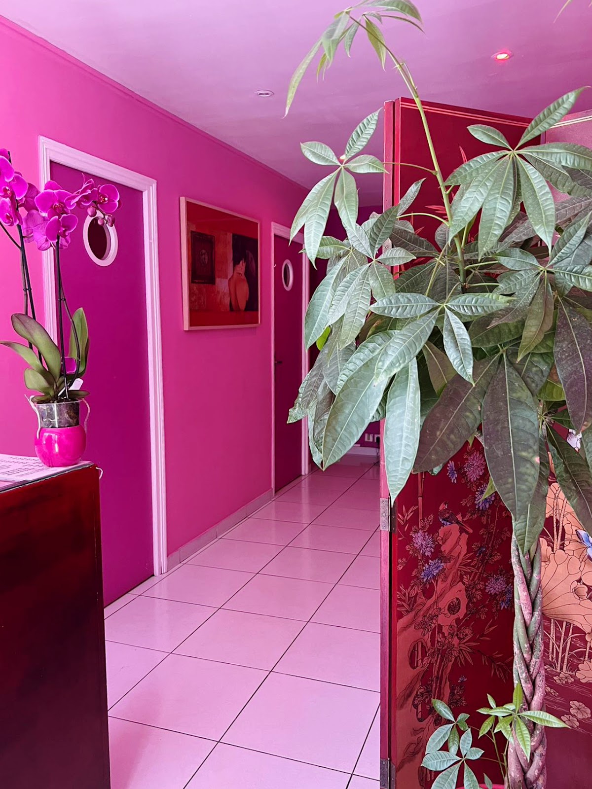 Couloir végétalisé et décor du salon FenFang